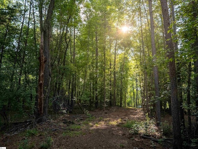 00 Goldmine Rd, Pacolet, SC 29372 - photo 6