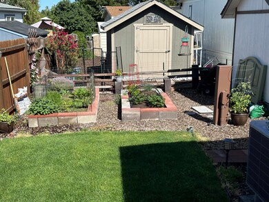 Back Yard Garden