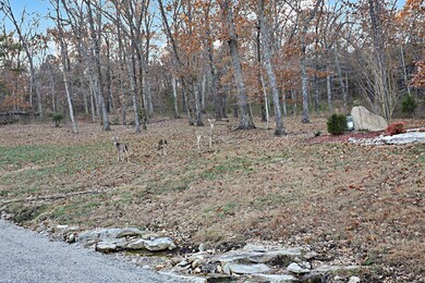 Lot 2 Breathless View Dr, Ruth B Rural Township, MO 65686 - photo 7