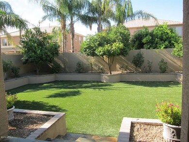 Backyard grass area