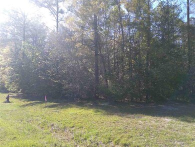 XX Citation Way, Crawfordville, FL 32327 - photo 7