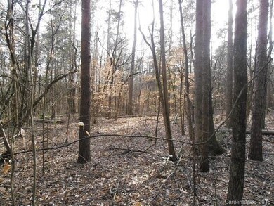 3770 Zion Church Rd, Concord, NC 28025 - photo 3