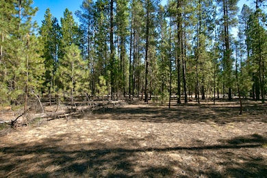 51915 Swiss, La Pine, OR 97739 - photo 5