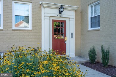 6602 10th St unit J, Alexandria, VA 22307 - photo 4