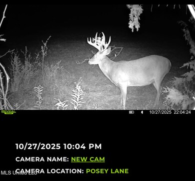 295 Posey Ln, Vaughan, MS 39179 - photo 7