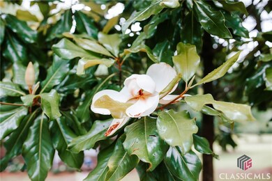 764 Sandy Cross Rd, Lexington, GA 30648 - photo 6