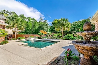 Mature Palm Trees & Tropical Vegetation Feel Like