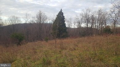 0 High View Rd unit WVHS114982, Purgitsville, WV 26852 - photo 2