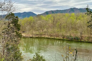 0 E Hwy 25 70 unit 709827, Del Rio, TN 37727 - photo 2