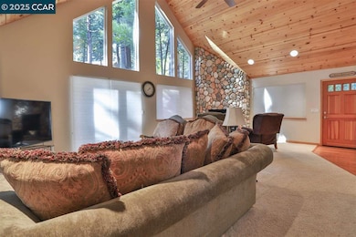 2883 Chinook Way, Arnold, CA 95223 - photo 3