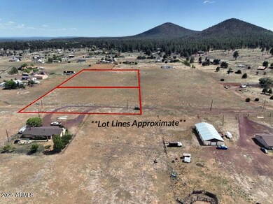 8004 E Rope Rd, Doney Park, AZ 86004 - photo 7