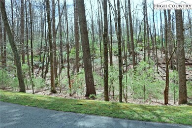 1.36acrs W Laurel Cir, Deep Gap, NC 28618 - photo 4