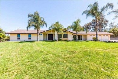 Large Lush Front Yard