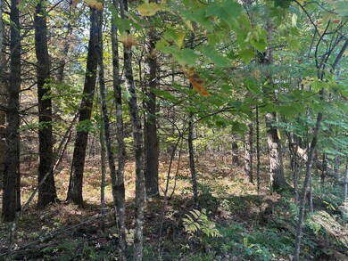 PAR B 16th St, Baldwin, MI 49304 - photo 3