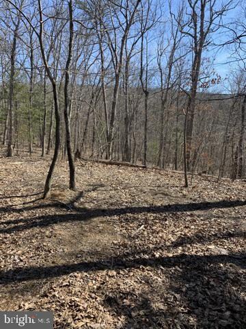 Lot 33 Sugar Maple Dr, Valley, WV 25420 - photo 5