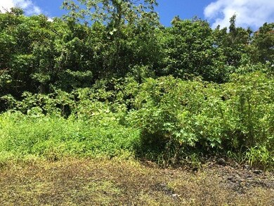 37 E Ohea St, Hilo, HI 96720 - photo 4