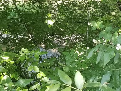 thumbnail_20210608_102657