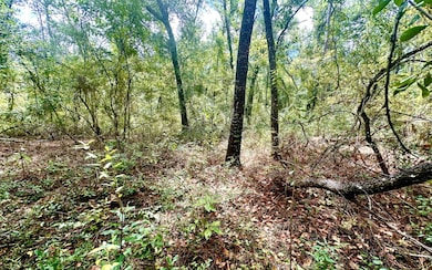 0 135th Ct Lot 18, Obrien, FL 32071 - photo 5