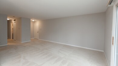 42 Plymouth Ct unit 6102B, Naperville, IL 60565 - photo 5