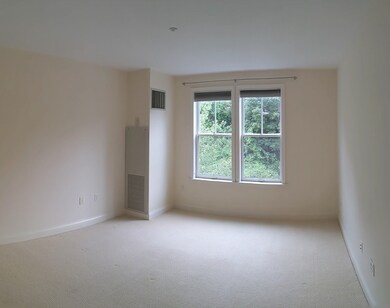 2 Saint Paul St unit 309, Brookline, MA 02446 - photo 5