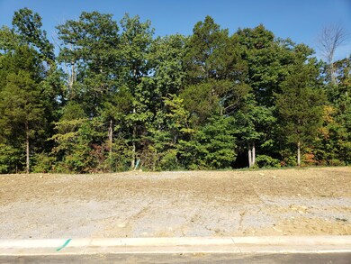 39 Kilner Goodlet Ct, Mount Washington, KY 40047 - photo 3