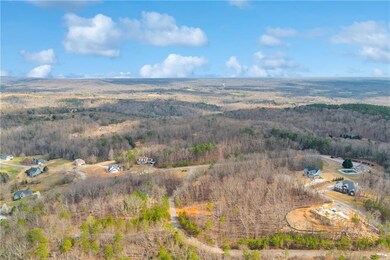 Drone / aerial view with a forest view