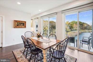 1809 Yellow Garnet Terrace SE, Leesburg, VA 20175 - photo 7