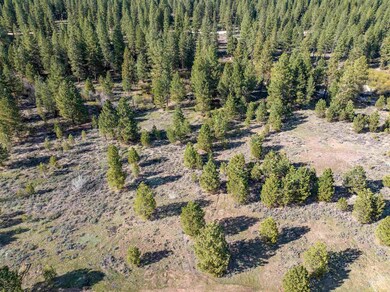 Lot 27 Trail Creek Ct, Placerville, ID 83666 - photo 6