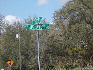 241 N Highview Ave, Hernando, FL 34442 - photo 4