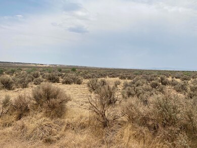 IMG_4744