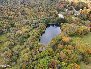 100 Spring Hill Rd, Moscow, PA 18444 - photo 3