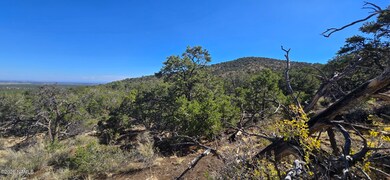 20202016t No Name Rd, Williams, AZ 86046 - photo 7