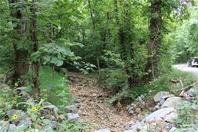 0 Freeman Fielder Rd unit RTC1662111, Stewart, TN 37175 - photo 2