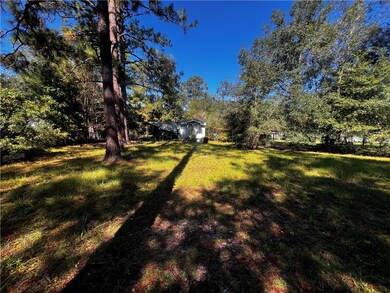 1006 Oglethorpe Ln, Darien, GA 31305 - photo 6