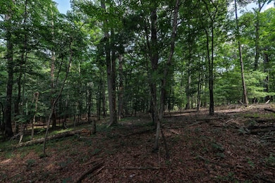 Tbd Brunk Spring Ln, Broadway, VA 22815 - photo 6