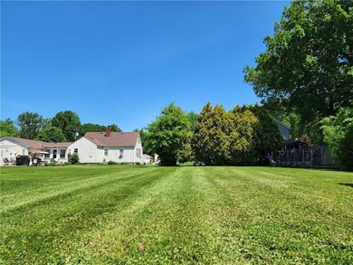 large back yard