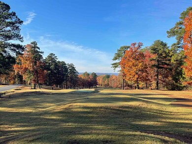 Lot 476 Hersfeld Rd, Drasco, AR 72530 - photo 7