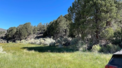 0 Benton Crossing Rd unit 5 250573, Benton, CA 93512 - photo 7