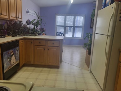 1089 Candlewood Rd unit 366, Elgin, IL 60123 - photo 4