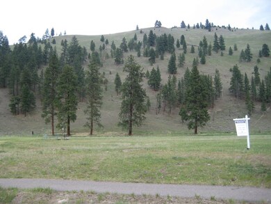 IMG_1166