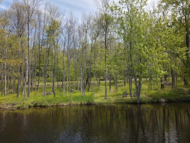 53 Main St, Medway, ME 04460 - photo 3