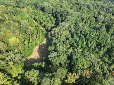 0 Bethesda Rd unit 24909841, Crystal Springs, MS 39059 - photo 7