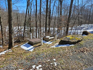 Lot 13 Cherry Grove Rd, Slaty Fork, WV 26291 - photo 6