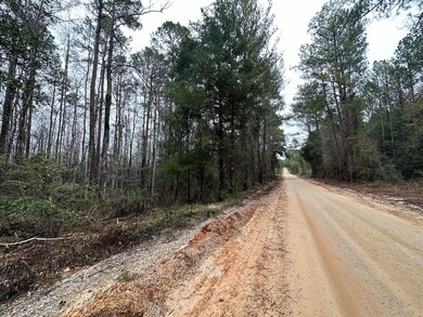 Tract#6418 Bryant Bay Rd, Caryville, FL 32427 - photo 6