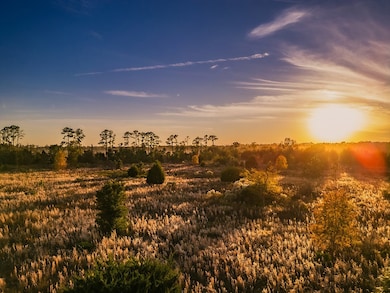 2351 NW 110th St, Chiefland, FL 32626 - photo 4