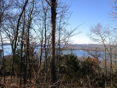 Lot 8 Kings Bishop, Kimberling City, MO 65686 - photo 3