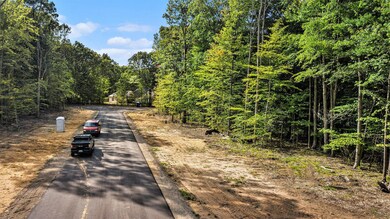 001_dji_0541