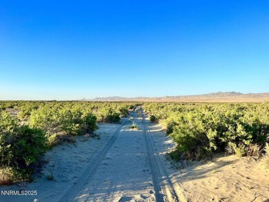 10 Valhalla Rd, Winnemucca, NV 89445 - photo 4