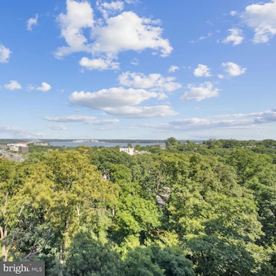 Montebello unit 1014 AND 1016, Alexandria, VA 22303 - photo 4