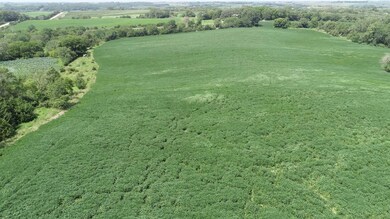 0 175th St, Gravity, IA 50848 - photo 7